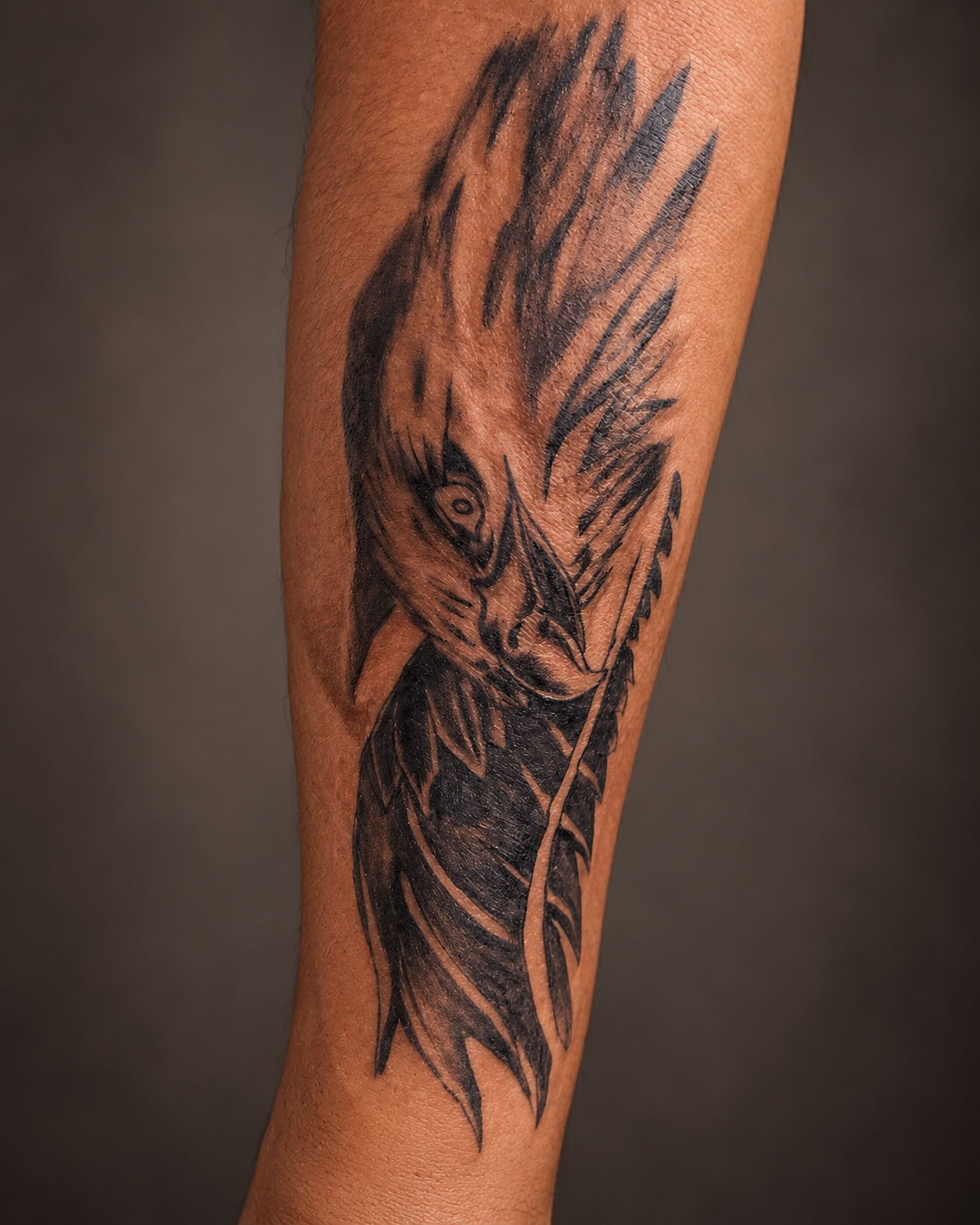 Raptor tattoo on forearm